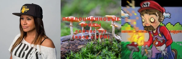 тгк Балахна