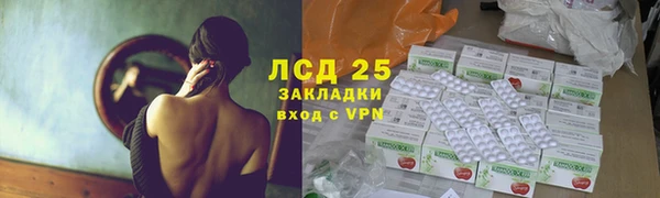 шишки Осташков